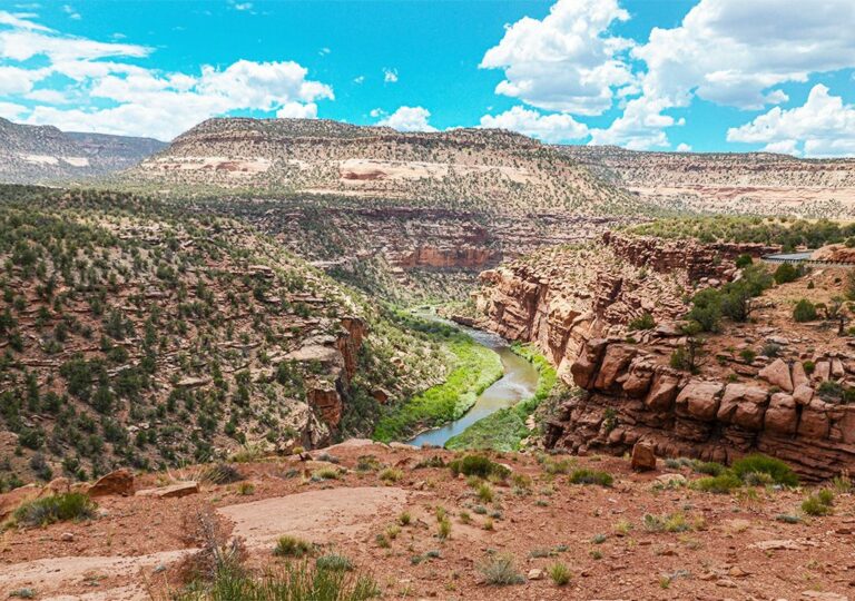 The Best Whitewater Rafting in Colorado (Updated for 2026)